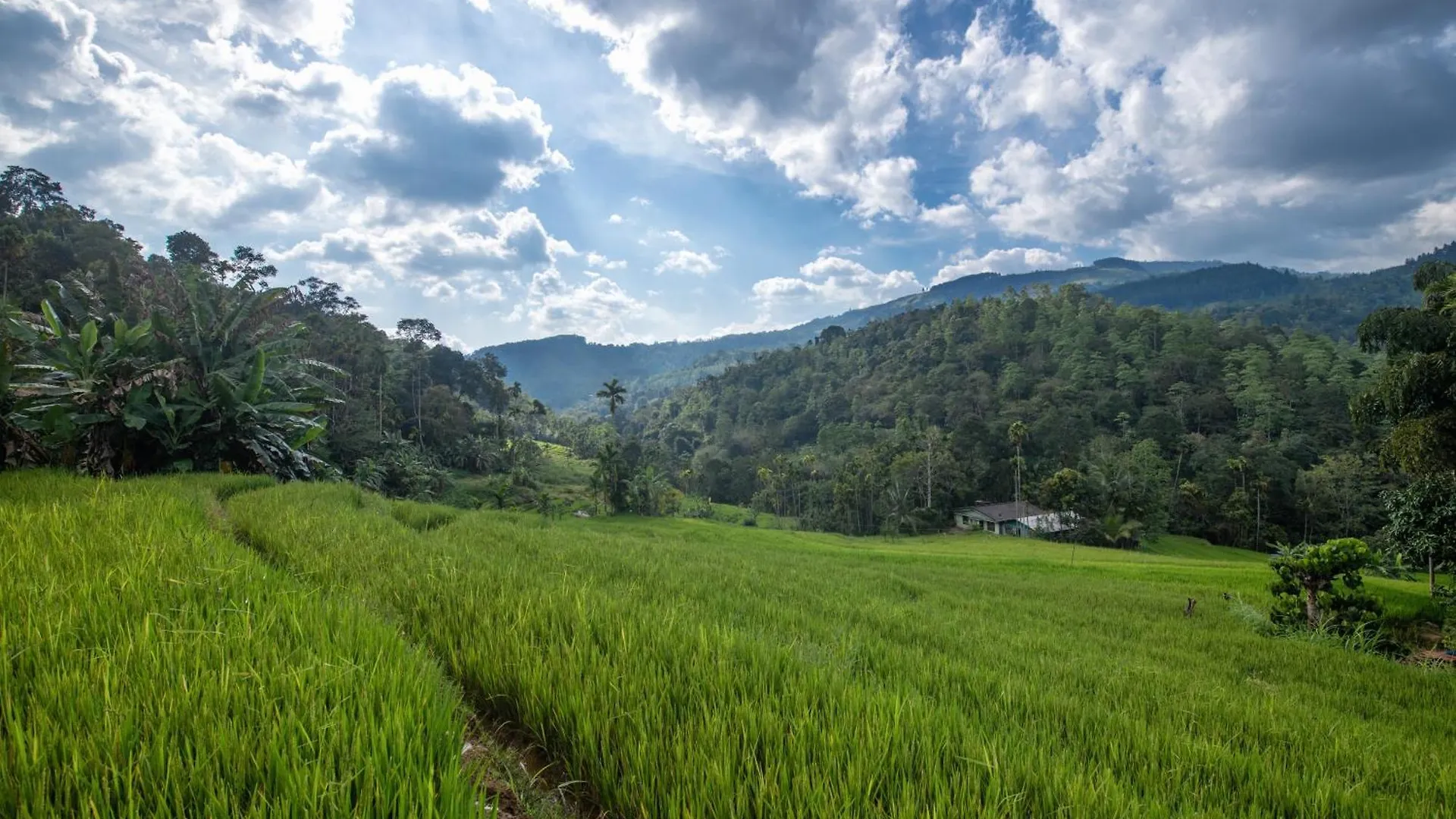 Jade Villas - Digana Kandy